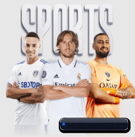 必威体育 APP 界面 | Betway